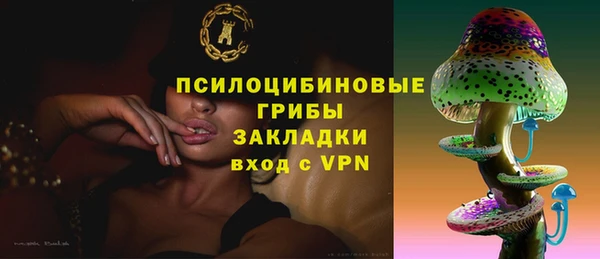 спайс Баксан
