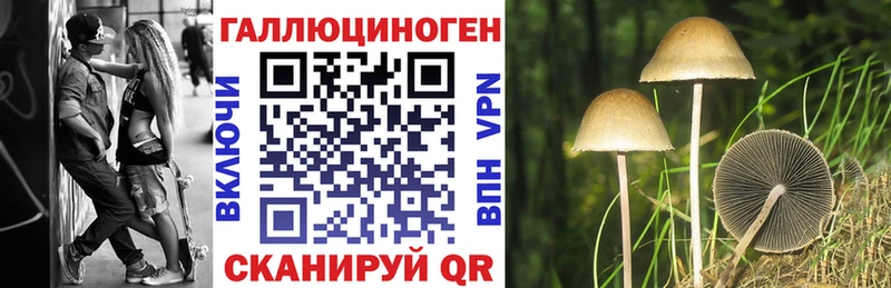 Галлюциногенные грибы ЛСД  Щёлкино 